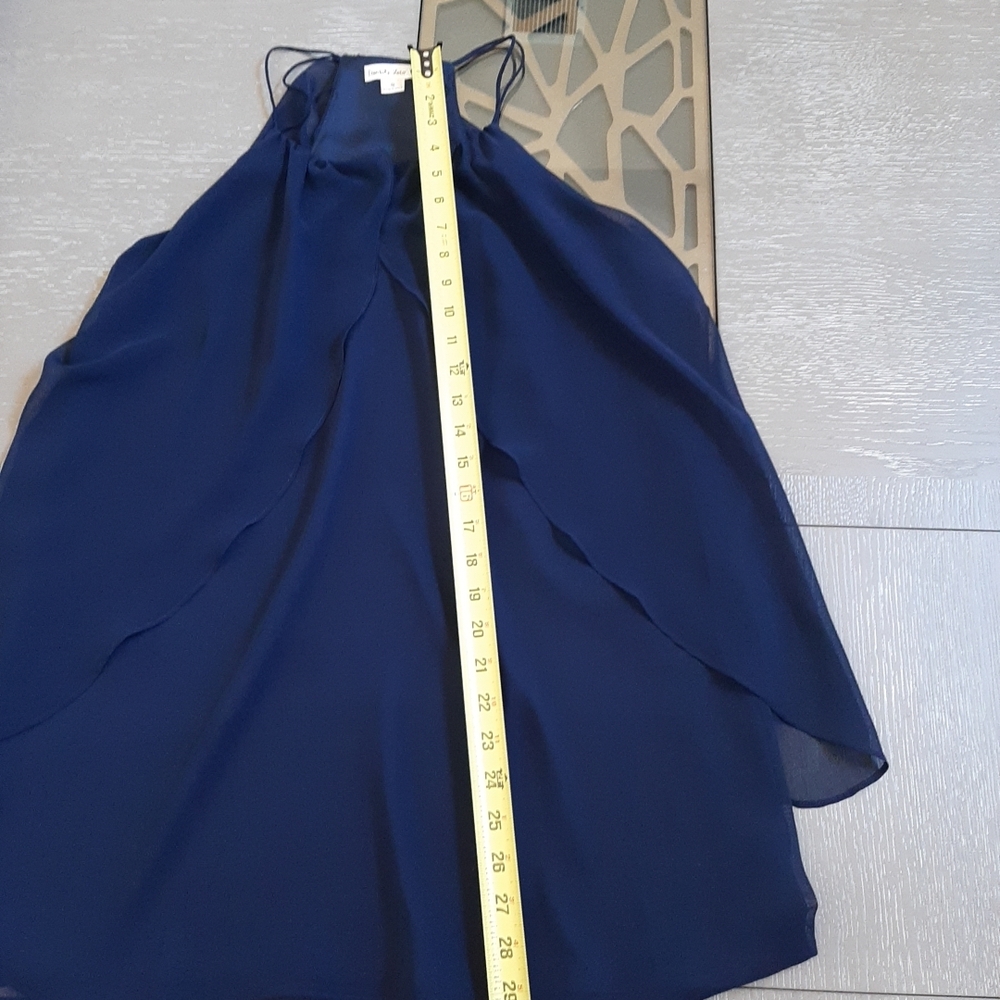 Double Zero Deep Blue Ruffled Overlay Chiffon Mini Dress - Picture 10 of 10